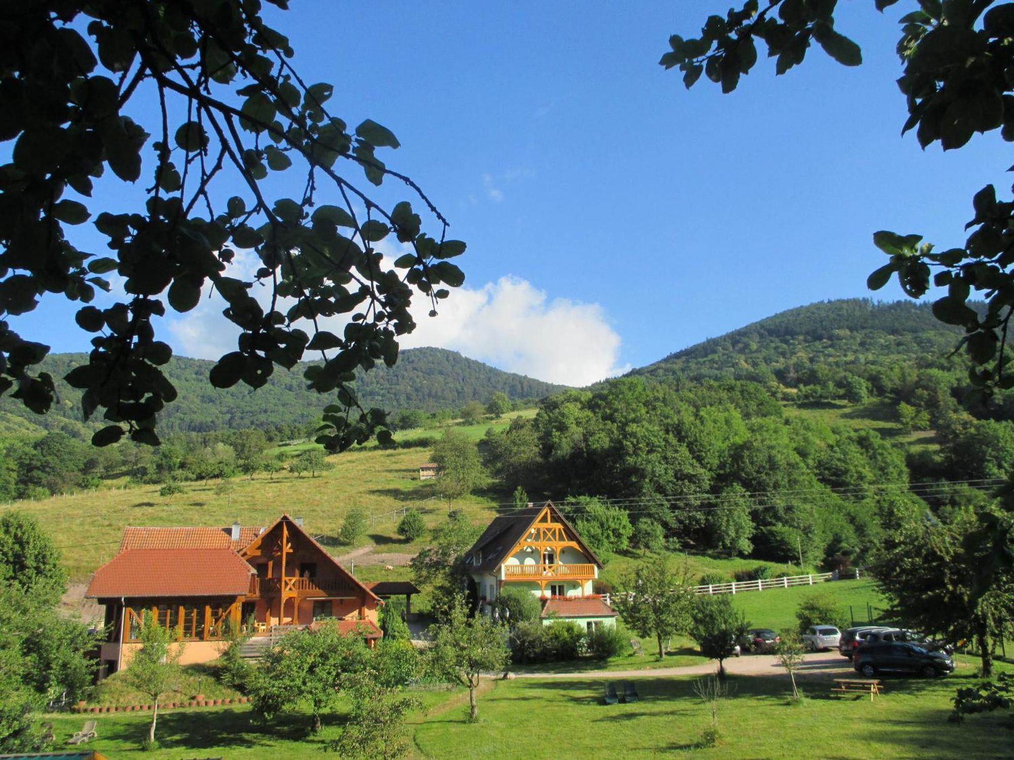 Les Gites La Cerisaie Breitenbach Phòng bức ảnh